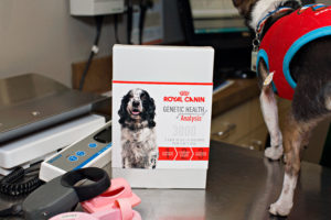 Royal Canin DNA Test