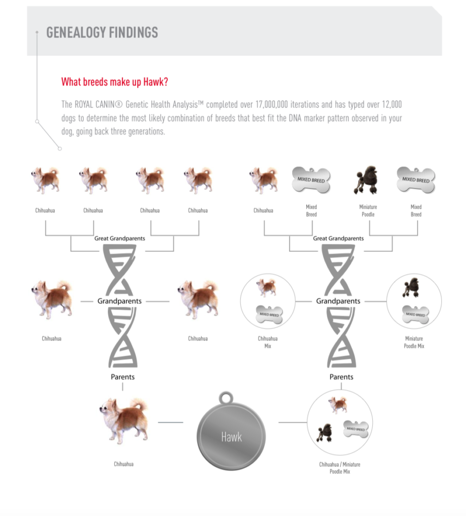 Royal Canin Results