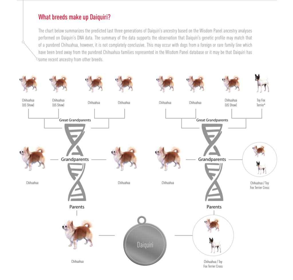 Royal Canin Results