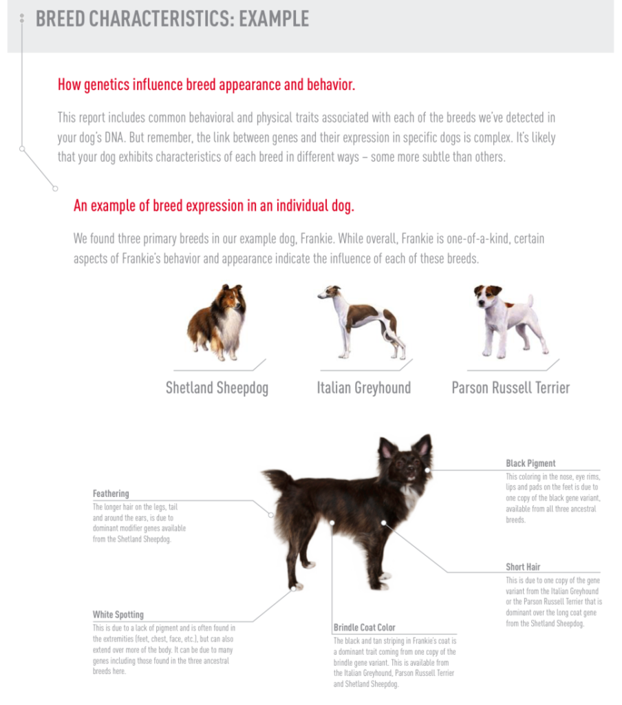 Royal Canin Results