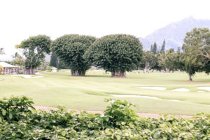 backyard views kauai princeville