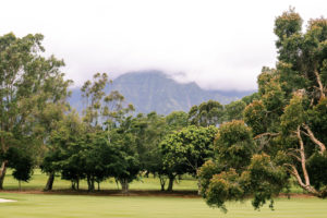 backyard views kauai princeville