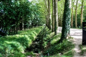 Chenonceaux